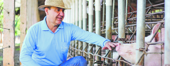Para agregar valor aos negócios, o produtor Afrânio Bretas Leite, dono de 1,6 mil matrizes em Ponte Nova, lançou o próprio frigorífico. | Daniel Castellano/Gazeta do Povo