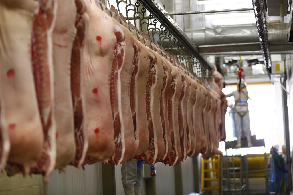 Brasil é o 4º maior exportador de carne suína. UE, EUA e Canadá estão na frente. | Jonathan Campos/Gazeta do Povo