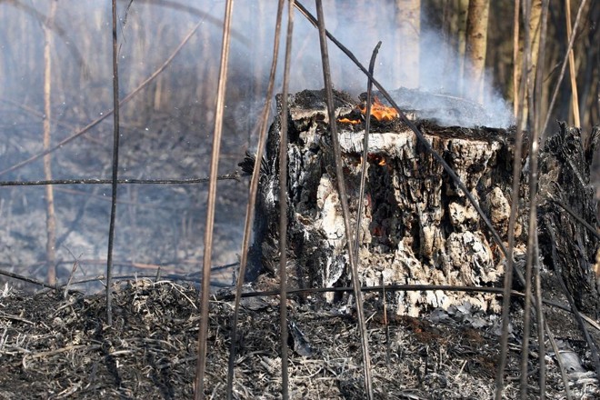 Autoridades peruanas alertam que o fogo pode atingir um parque nacional de preservação; 5 mil pessoas estão em risco. | Henry Milléo / Agência de Notícias Gazeta do Povo