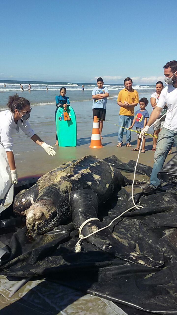 | Julyane Brito de Oliveira/Colaboração