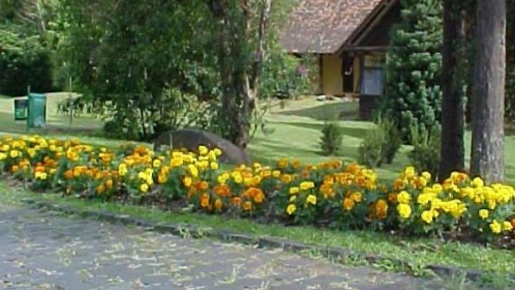 | SMMA em Curitiba/Reprodução SMMA