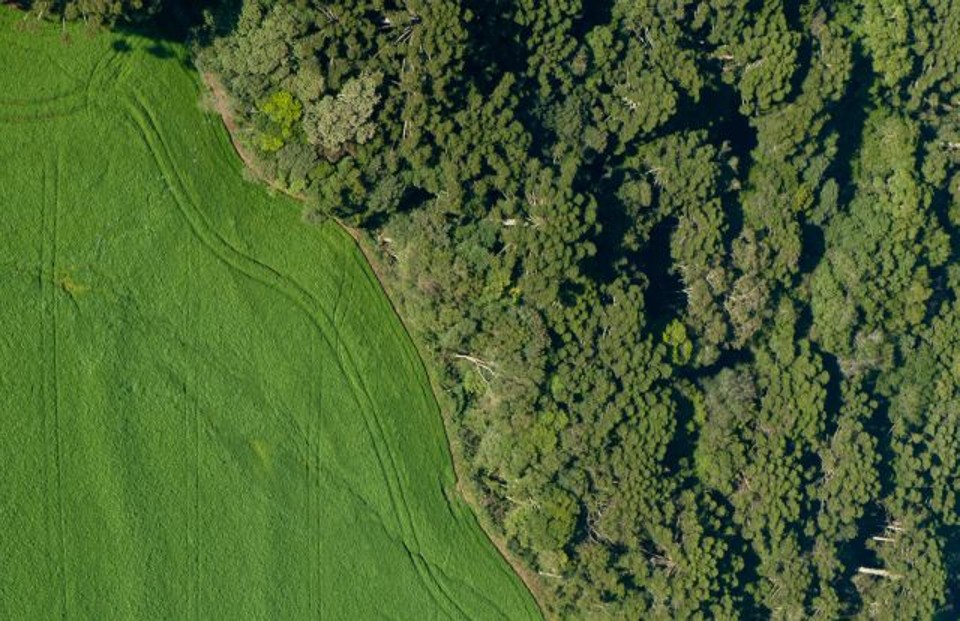 O sensoriamento remoto com imagens de alta resolução obtidas por satélites permite, previamente à contratação de operações de crédito e financiamento ou vinculação como garantia, verificar as condições efetivas dos imóveis. | Arquivo/Gazeta do Povo