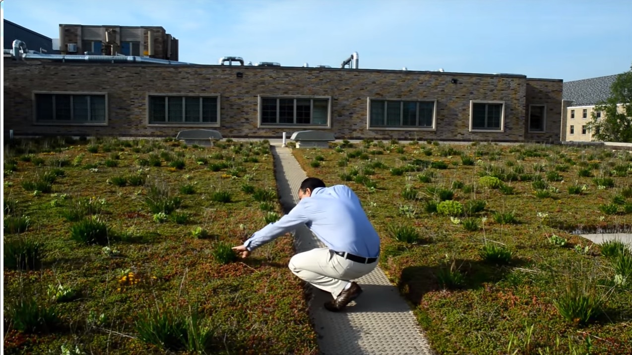 Pós-doutorando da Universidade de Notre Dame, Ashish Sharma analisa telhado verde em campo exeperimental | Reprodução/Youtube NDECI