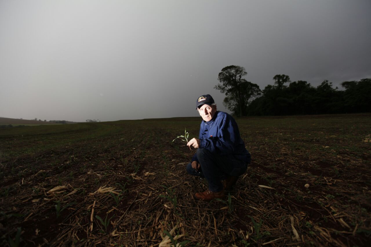 Na zona rural de Londrina, o produtor José Mortari confirmou que não foi tão fácil como nos outros anos escolher que variedade de semente de soja usar nos seus 315 dedicados à cultura. | Jonathan Campos/Gazeta do Povo