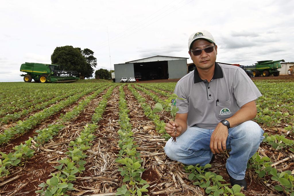 Entre os que adotam o sistema está o produtor Maicon Keiti Kato, do município de IV Centenário, a 90 quilômetros de Campo Mourão. | Jonathan Campos/Gazeta do Povo