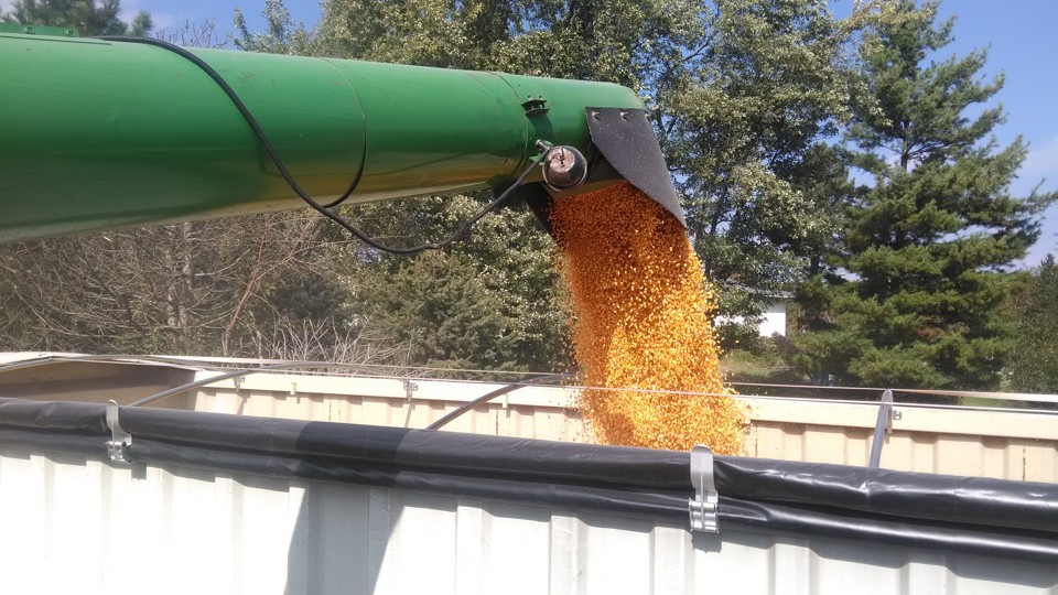 Illinois lidera a produtividade de grãos nos Estados Unidos, tanto em milho quanto em soja. | Flávio Bernardes/Gazeta do Povo