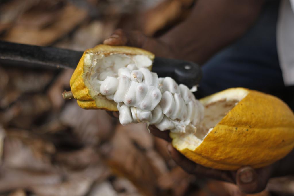 | Jonathan Campos/Gazeta do Povo