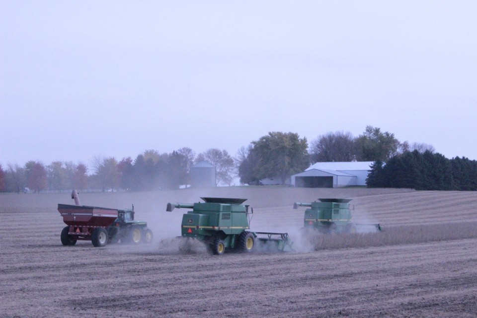 A excelência da soja em Minnesota contrapõe até mesmo o último relatório do USDA, que estimou produção e produtividade abaixo da média norte-americana. | Flávio Bernardes/Gazeta do Povo