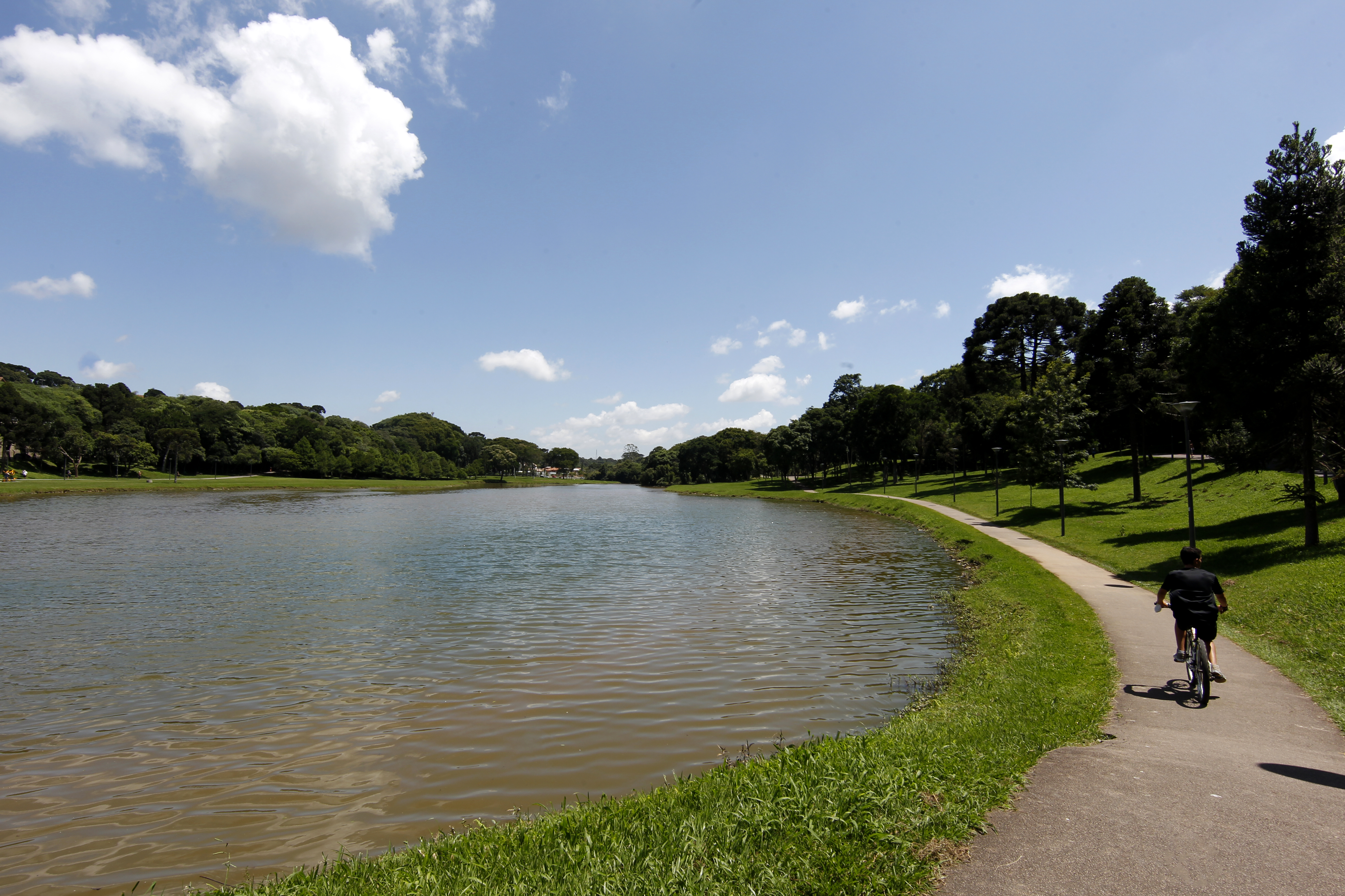 | Aniele Nascimento/Gazeta do Povo