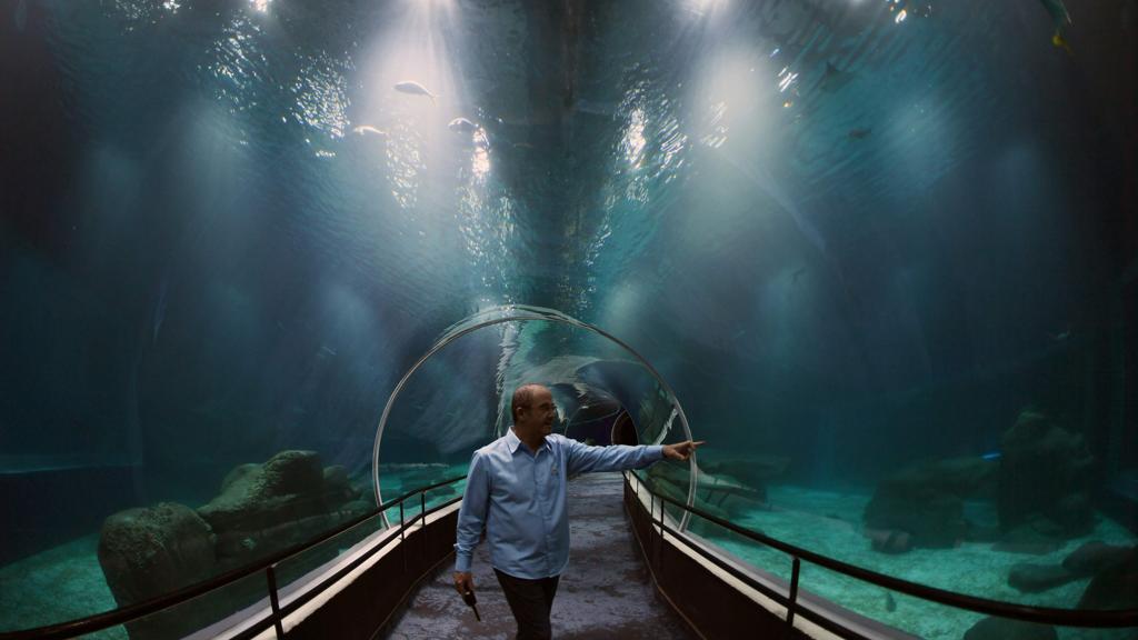 Túnel de vidro na entrada do AquaRio | VANDERLEI ALMEIDA/AFP