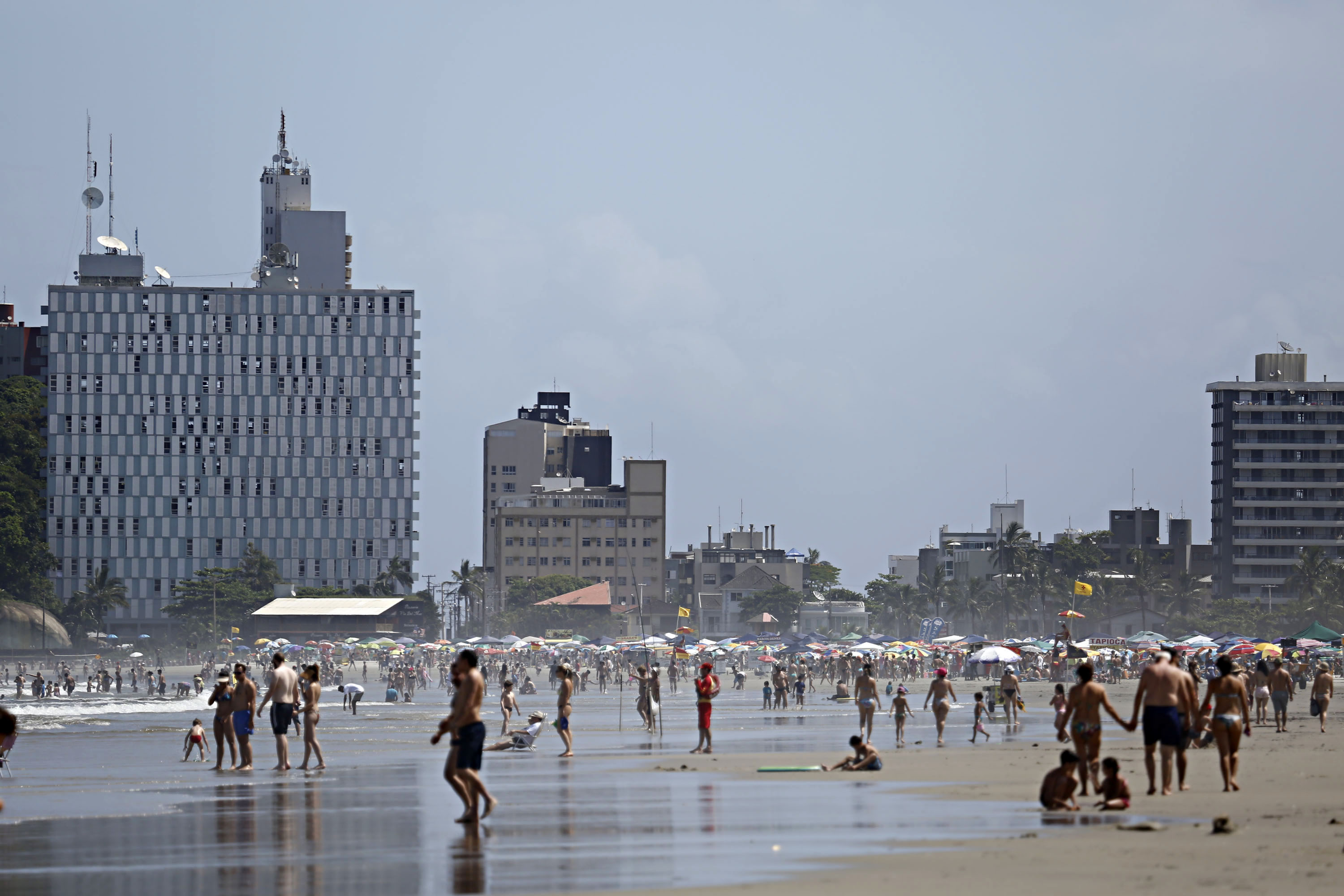  | Felipe Rosa/Tribuna do Paraná