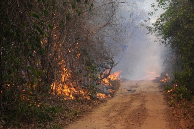 | Francisco Gilásio//Governo do Estado do Piauí