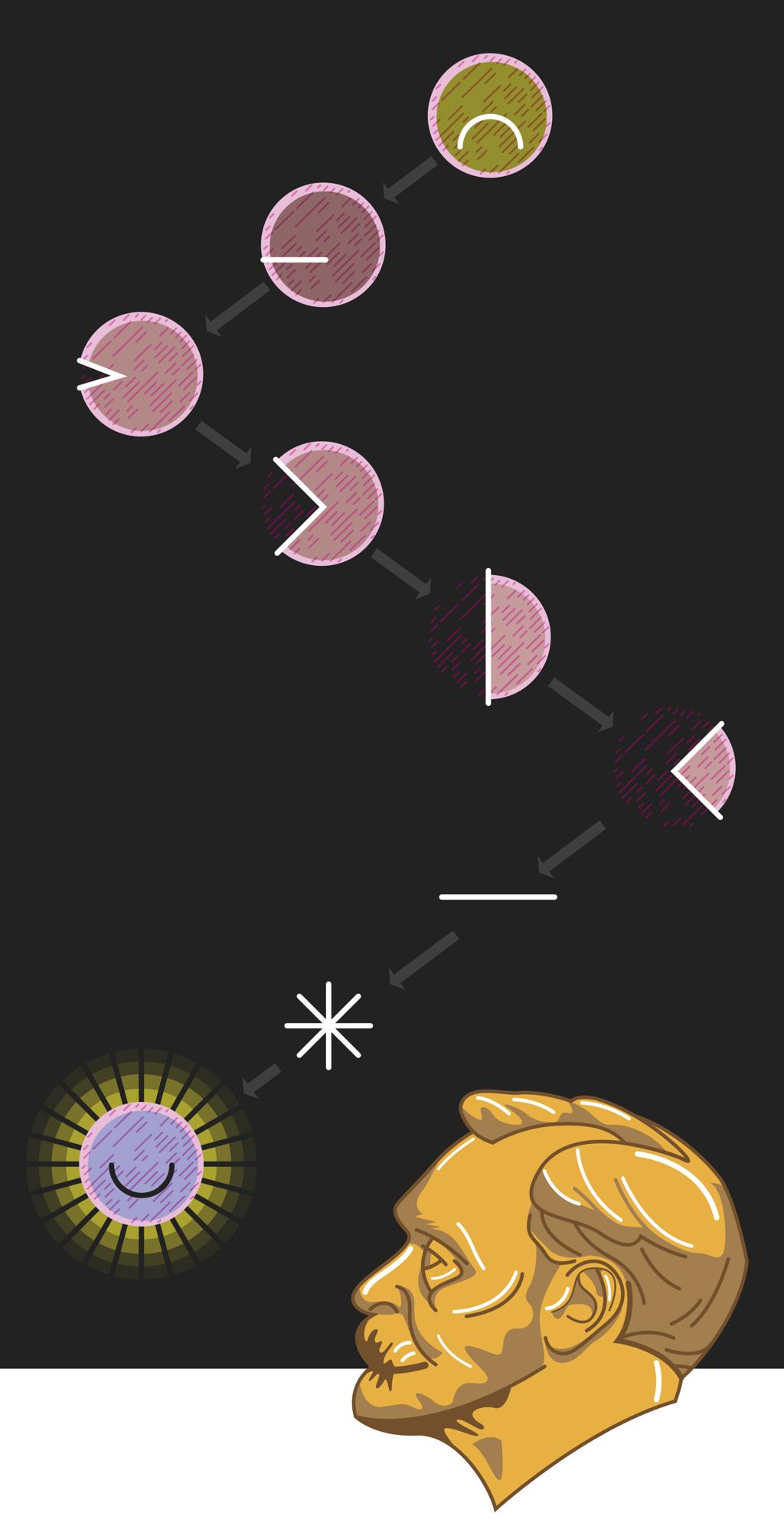 Descoberta de um sistema de autofagia celular deu a cientista japonês o Nobel de Medicina. |