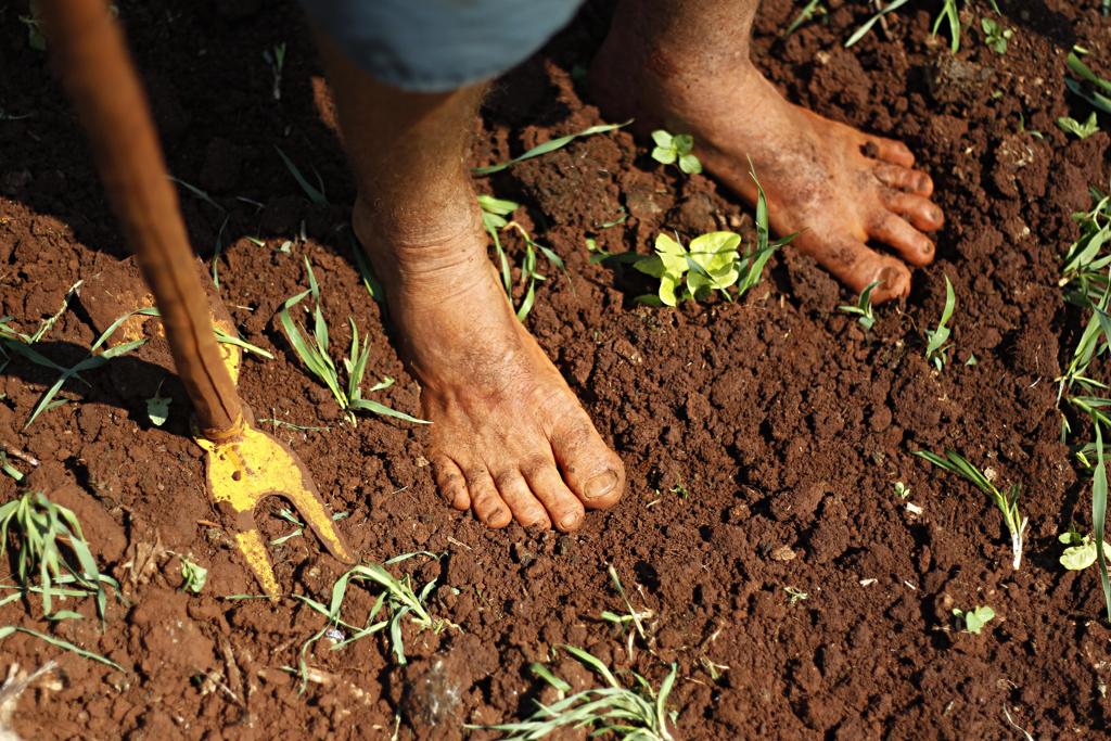 Dados do último censo, realizado em 2010, indicam que 84,4% da população brasileira é urbana. | Jonathan Campos/Gazeta do Povo