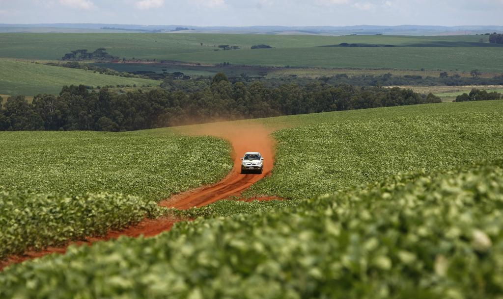 Projeto faz diagnóstico do plantio à colheita e aponta os rumos que o agronegócio brasileiro e da América do Sul vão tomar no ciclo que se inicia agora. | Rodolfo BUHRER/Rodolfo BUHRER