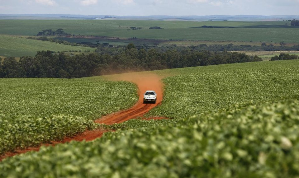 Projeto faz diagnóstico do plantio à colheita e aponta os rumos que o agronegócio brasileiro e da América do Sul vão tomar no ciclo que se inicia agora. | Rodolfo BUHRER/Rodolfo BUHRER