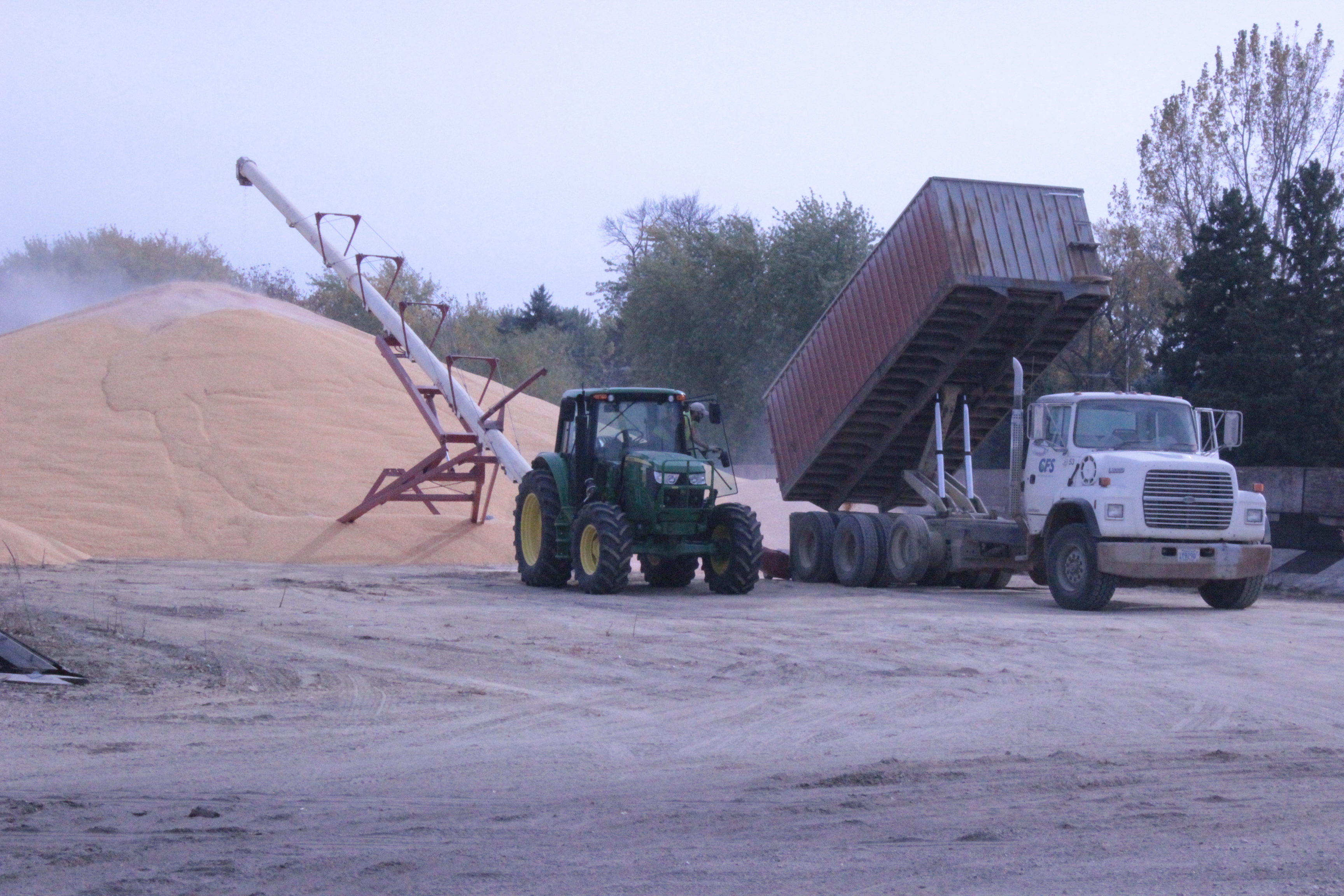 É tanta produção, que o agricultor não tem mais espaço para guardar grãos. | Flávio Bernardes/Gazeta do Povo