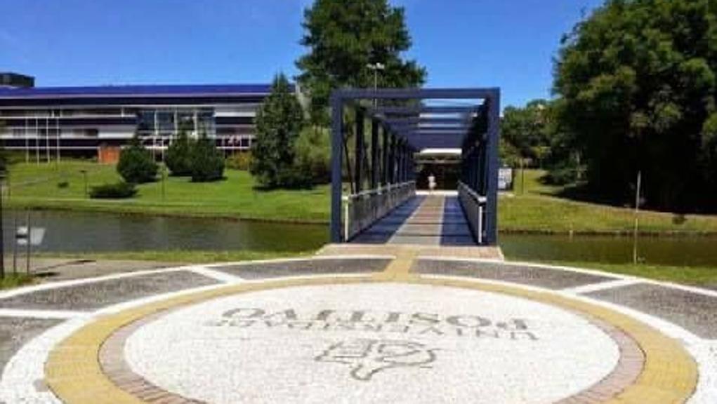 Matrículas começam na segunda-feira (17). | Divulgação