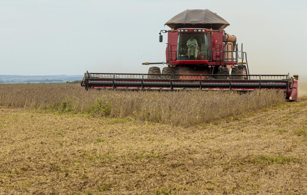 Na análise por região, o Sul permanece na liderança do valor bruto da produção agropecuária (R$ 153,2 bilhões). | Hugo Harada/Gazeta do Povo