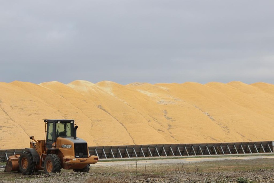 Com uma produtividade de média até o momento de 209,5 sacas por hectare ou 12.573 kg/ha, os agricultores de Iowa se preparam para um desempenho sem precedentes. | Flávio Bernardes/Gazeta do Povo