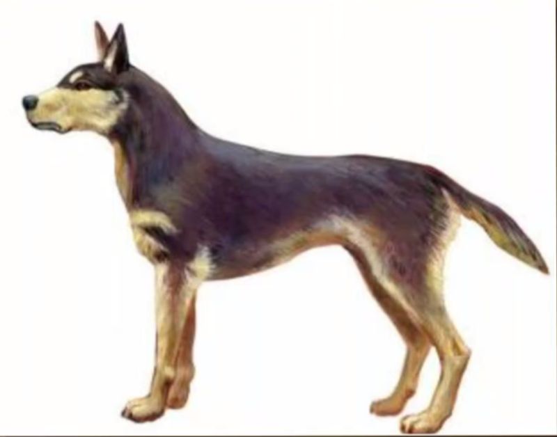 | Reprodução/Bom Dia Brasil