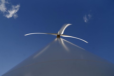 | Albari Rosa/Gazeta do Povo