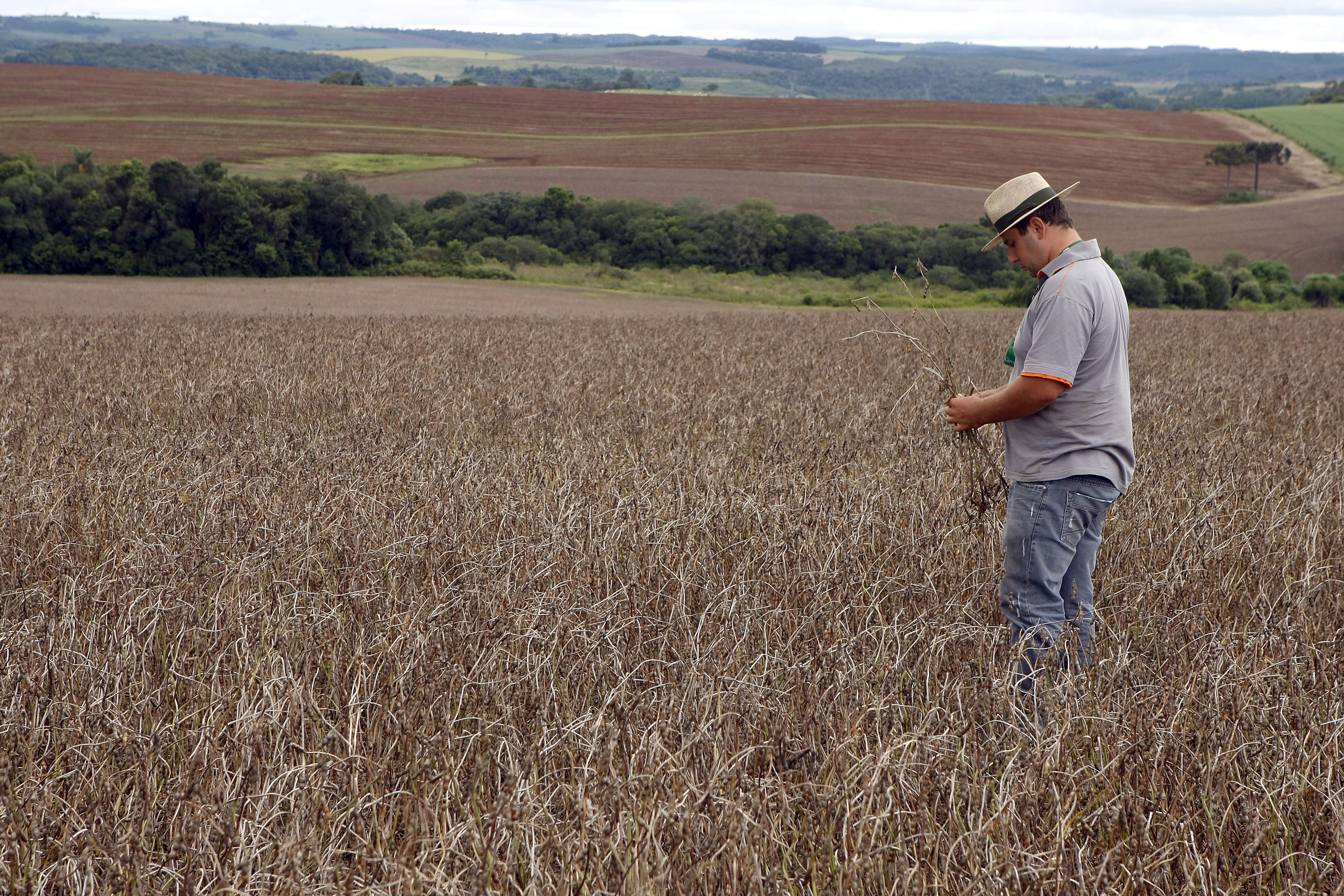 Ao todo, são 20 vagas de nível médio, técnico e superior. | Hedeson Alves/Agência de Notícias Gazeta do Povo