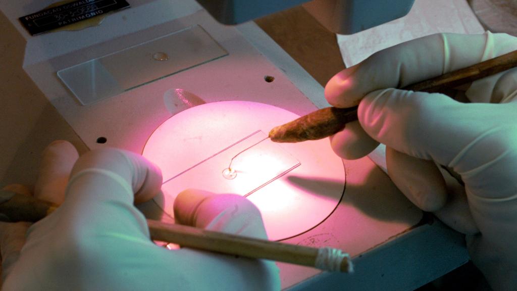 | Peter Ilicciev/Fiocruz Imagens