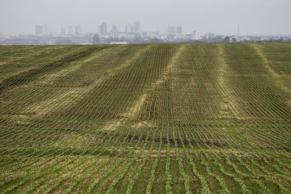 A ocorrência do fenômeno La Niña neste ciclo deixará o Paraná com chuvas bastante irregulares. | Jonathan Campos/Gazeta do Povo