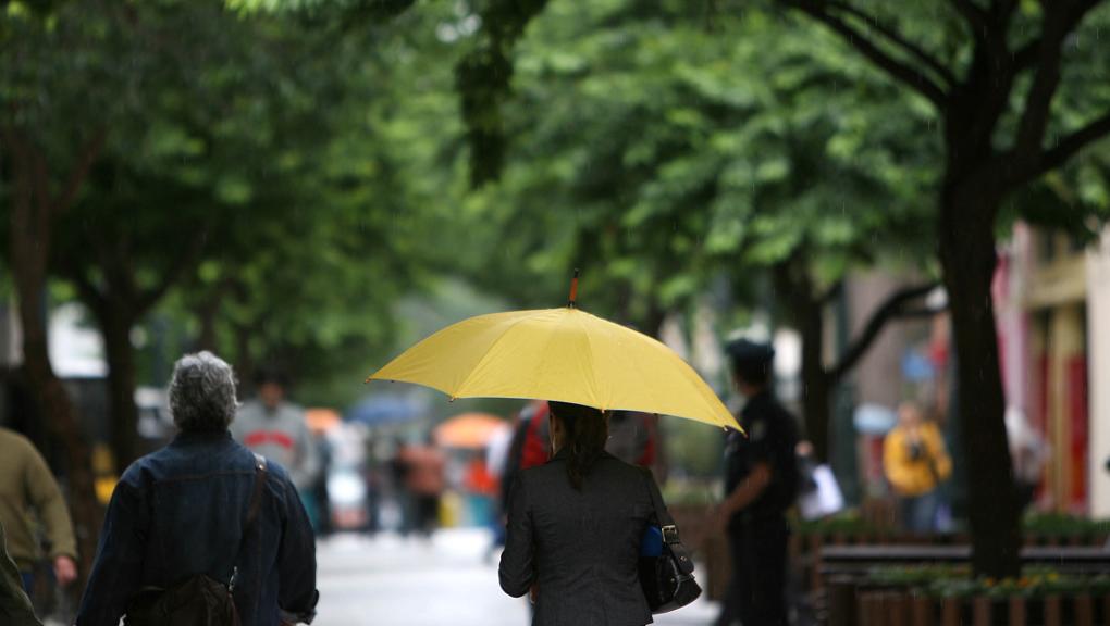 | Jonathan Campos/ Gazeta do Povo