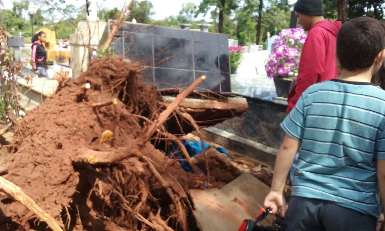 Cemitério Municipal de Cianorte, onde um vendaval causou estragos na quarta-feira (2). | Renison Costa / Colaboração para Gazeta do Povo