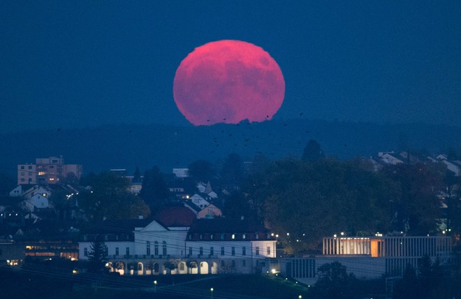 Ludwigsburg, na Alemanha | THOMAS KIENZLE/AFP