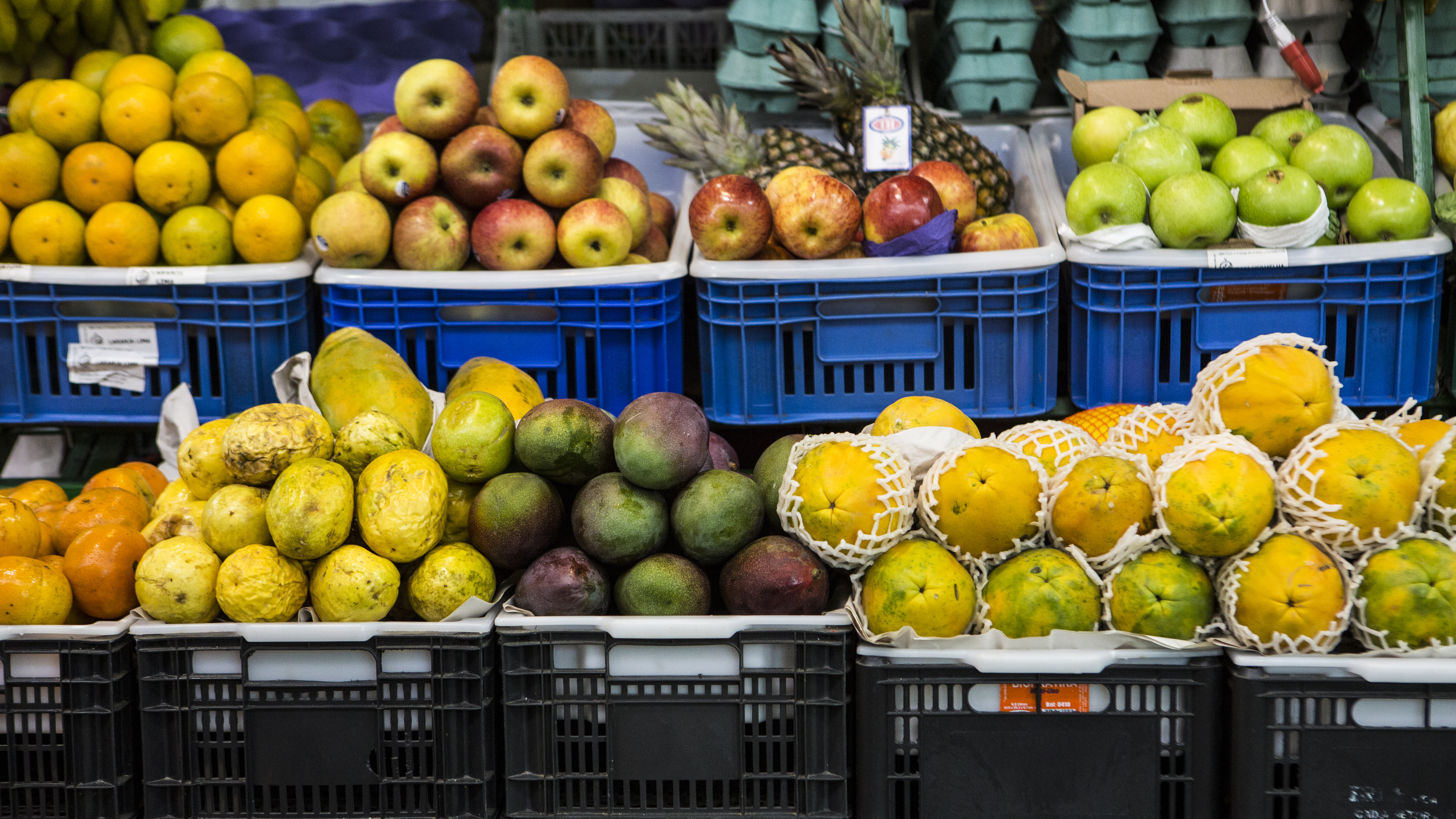 Ao todo, foram avaliadas 12.051 amostras coletadas entre 2013 e 2015 em 26 estados e no Distrito Federal. | Brunno Covello/Gazeta do Povo