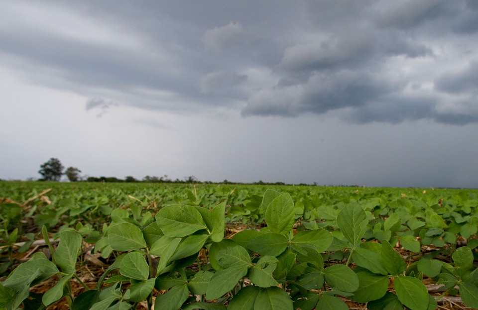 Cidade é um dos principais pólos agrícolas do Brasil. Nas últimas semanas, porém, o orgulho pelo agronegócio era dividido com a paixão pelo clube. | HUGO HARADA/HUGO HARADA