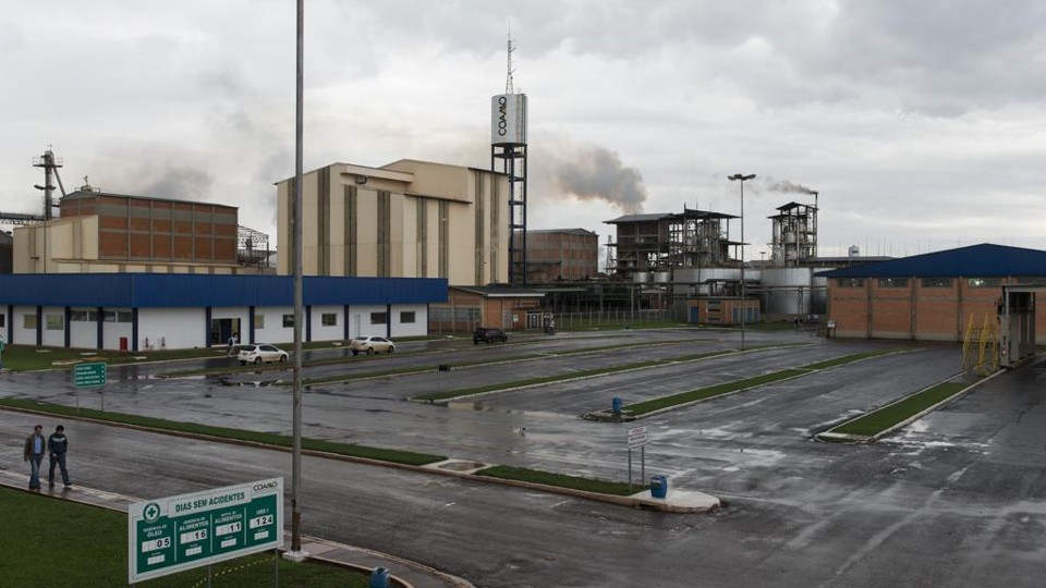 Unidade da Coamo: cooperativa é citada como exemplo pela Economist. | HENRY MILLEO /Gazeta do Povo