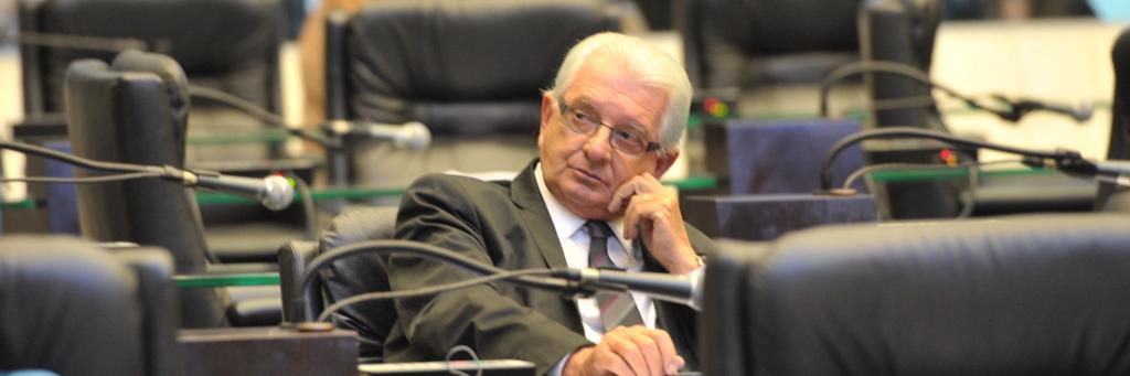 Nelson Justus (DEM) | Dálie Felberg/Alep