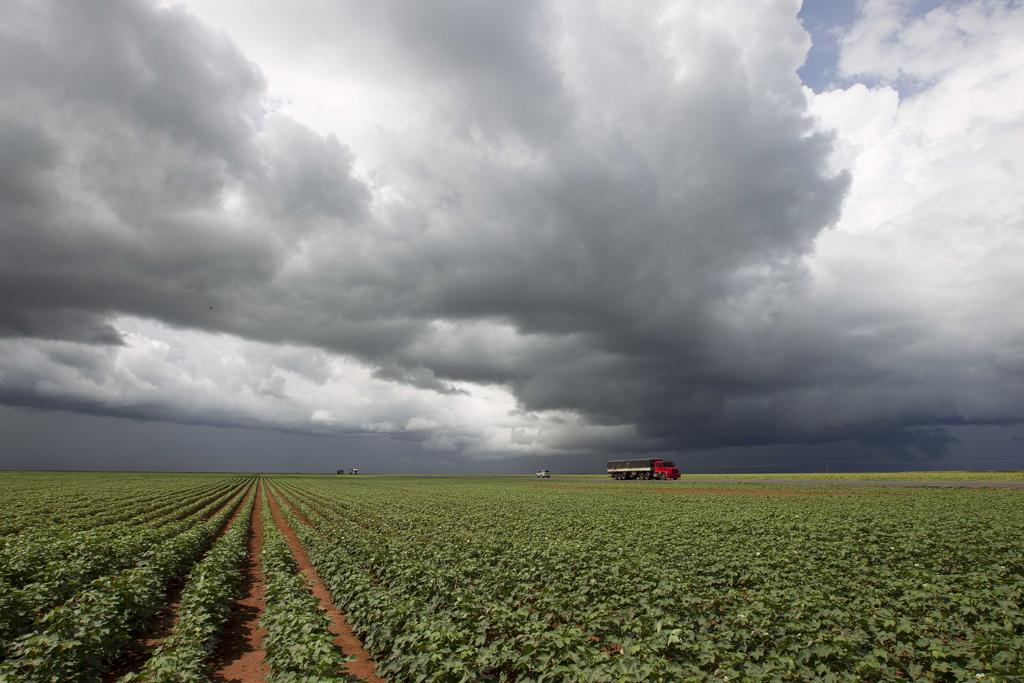 Ativistas avaliam que a aprovação do projeto aumentará os conflitos em regiões marcadas por invasões de terras públicas. | JONATHAN CAMPOS/GAZETA DO POVO