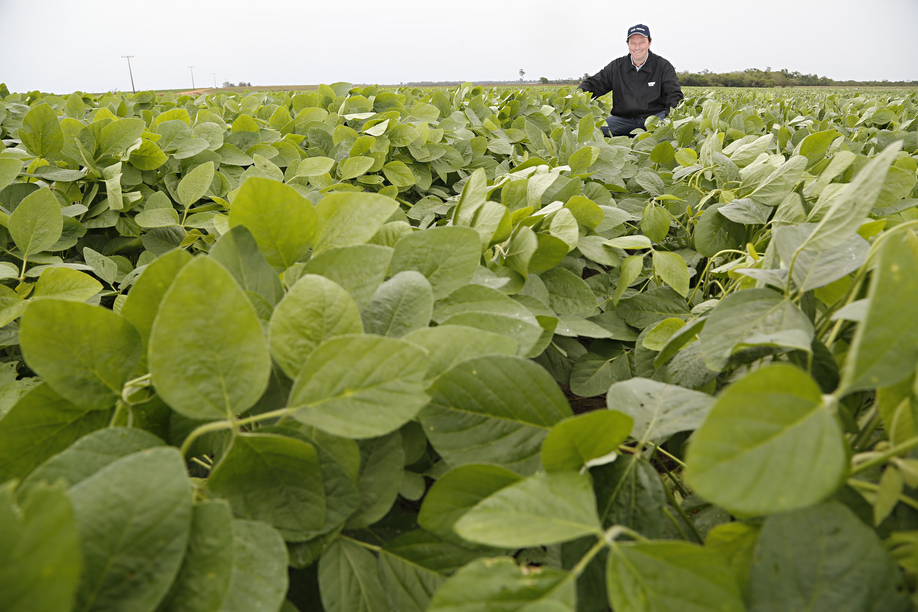 Aurélio Rocha, proprietário da área que tem 1,5 mil hectares de soja já semeados (além de psicultura e produção de gado de corte), conta que teve um salto de 20% nos custos de produção da soja. | Felipe Rosa/TRIBUNA DO PARANA