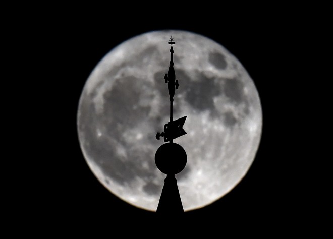 Vista próxima a Catedral de Almudena, em Madri, Espanha | GERARD JULIEN/AFP