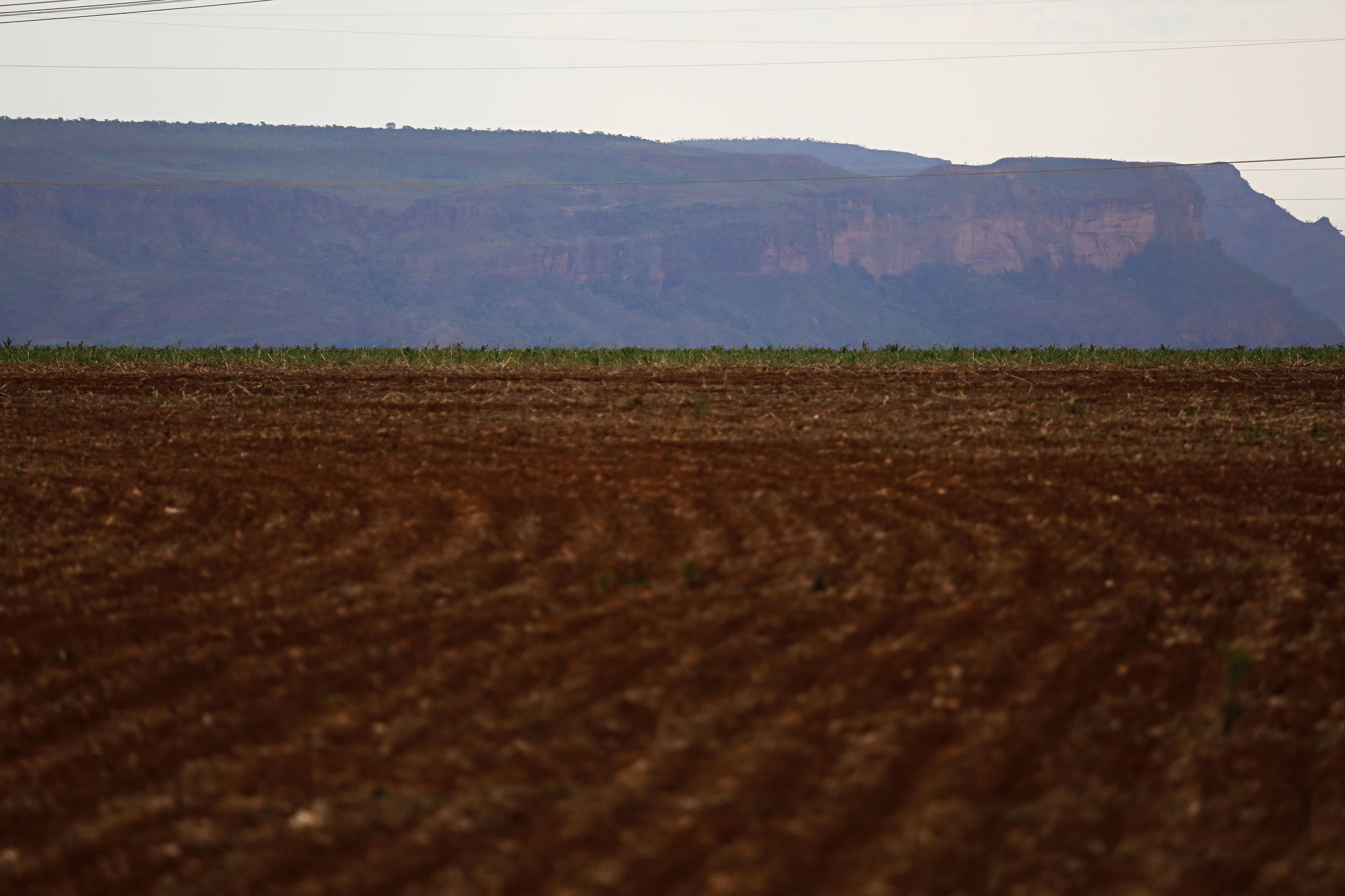 Esta foi a última região produtora do Mato Grosso visitada pelo projeto na fase de plantio. | Felipe Rosa/TRIBUNA DO PARANA