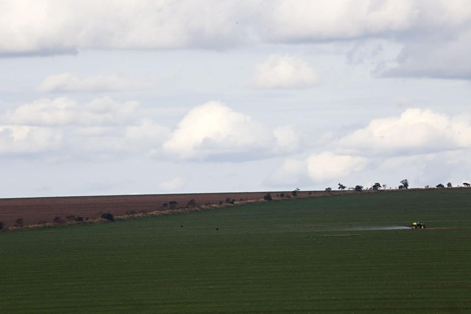 Para este ano, a estimativa na região  de São Gabriel do Oeste é de uma produtividade média na casa de 60 sacas por hectare, 5 sacas a mais do que na última safra. | Felipe Rosa/Gazeta do Povo