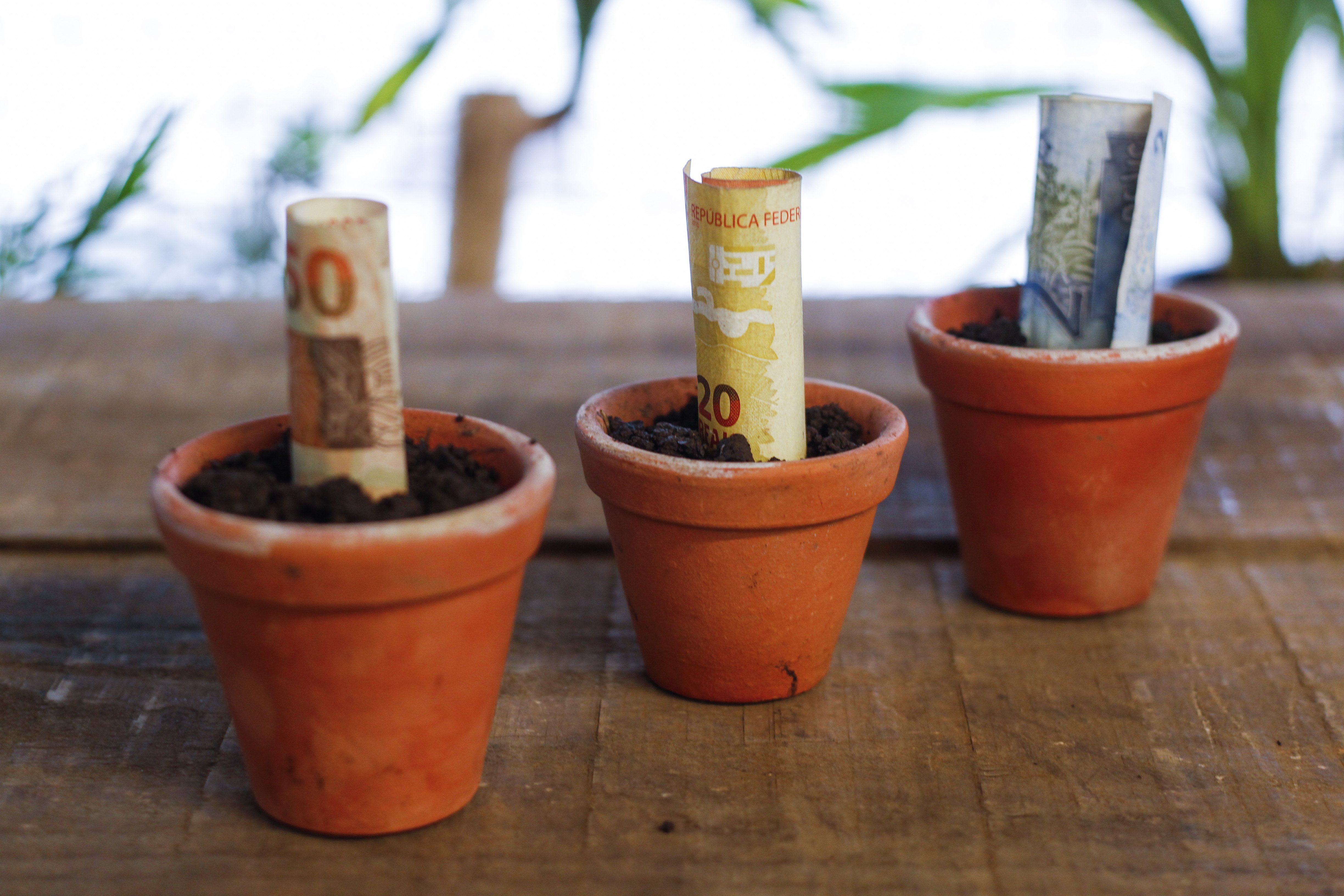 | Daniel Castellano/Gazeta do Povo