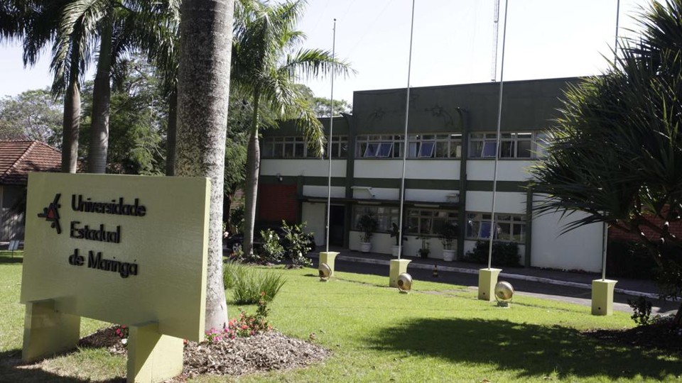 Universidade Estadual de Maringá (UEM)  ficou na nona colocação na pesquisa da Brasil Júnior em parceria com a McKinsey | Ivan Amorin/
Arquivo Gazeta do Povo