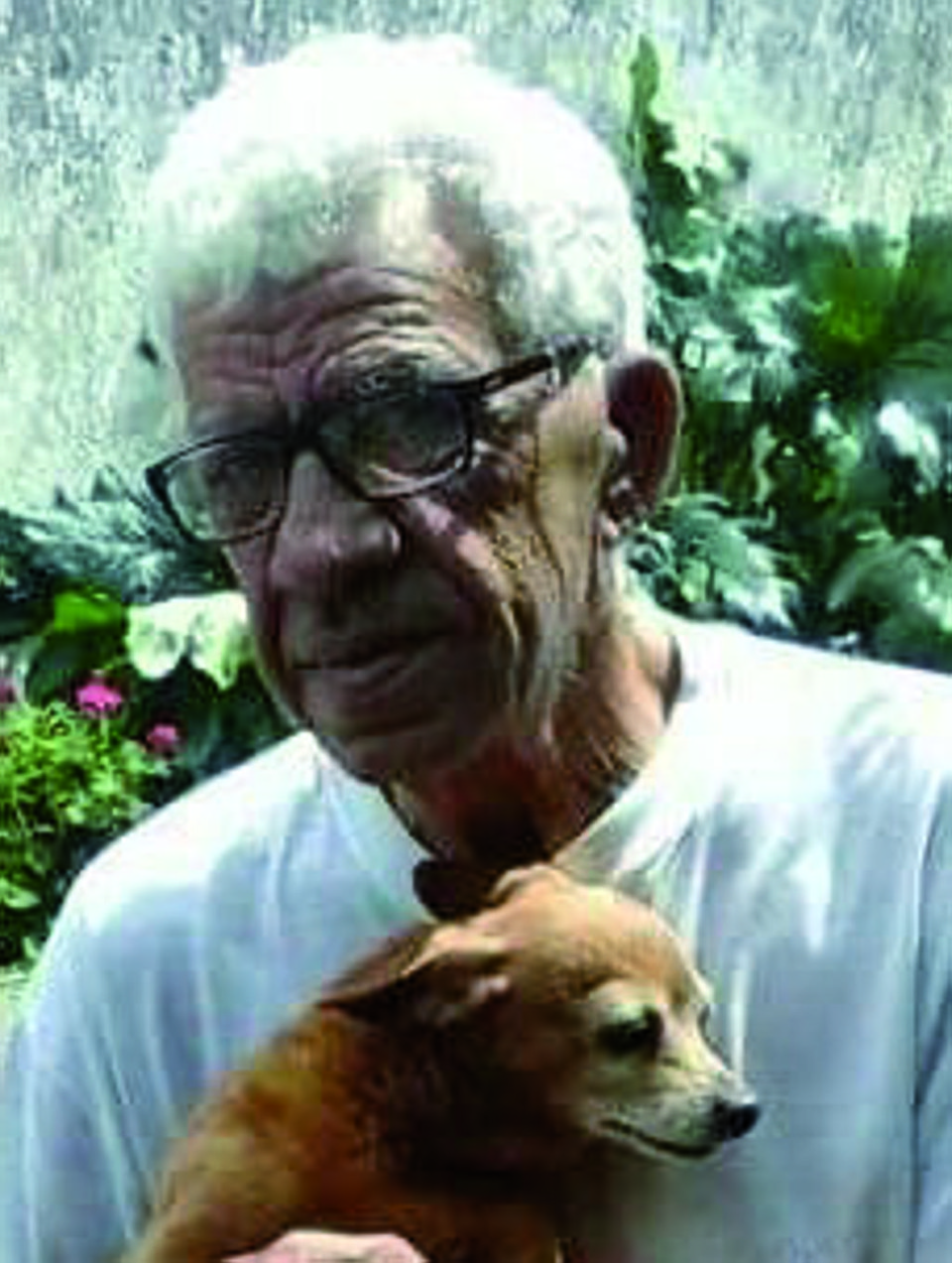  | Arquivo da família