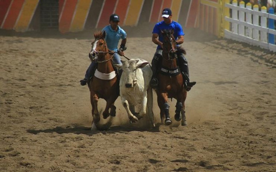 Além da vaquejada e do rodeio, a nova lei estabelece como patrimônio cultural imaterial do Brasil atividades como as montarias, provas de laço. | /