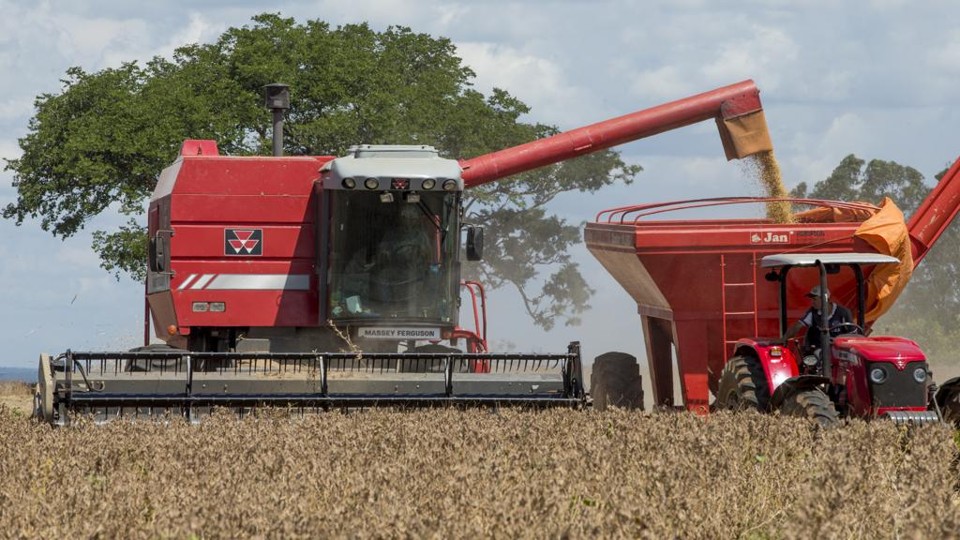 PIB da agropecuária registrou queda de 6% no terceiro trimestre em relação ao mesmo periodo do ano passado. | Hugo Harada/Gazeta do Povo