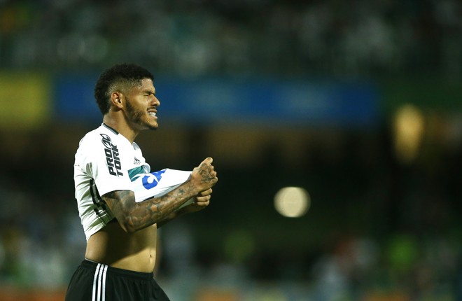  | Hugo Harada/Gazeta do Povo