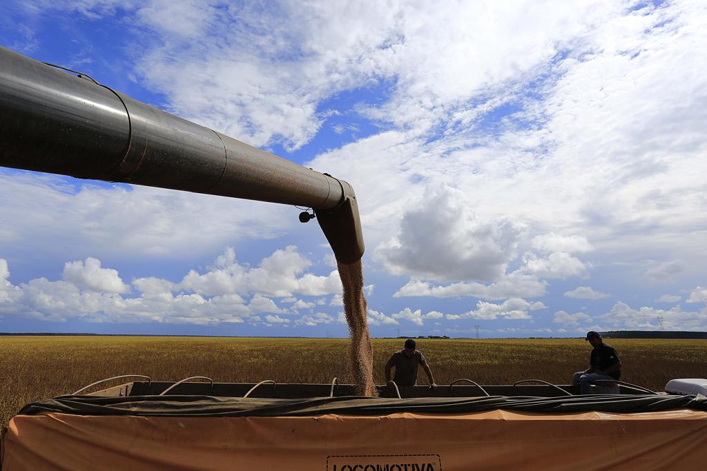 Todos os elos na agricultura registraram alta. Destaque para o setor primário (6,52%), em razão dos preços e da expectativa de maior faturamento em culturas como a soja. | Jonathan Campos/Gazeta do Povo