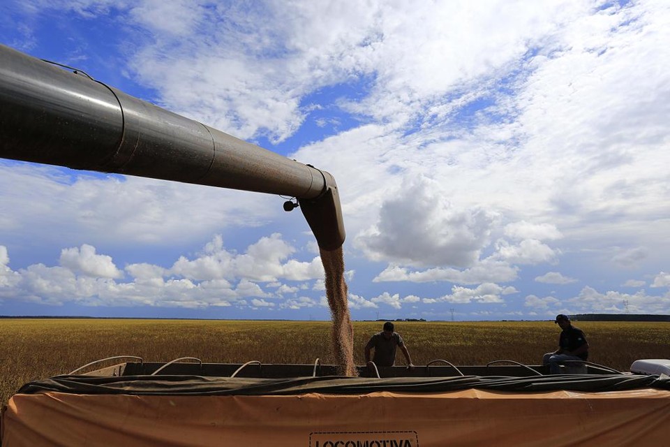 Todos os elos na agricultura registraram alta. Destaque para o setor primário (6,52%), em razão dos preços e da expectativa de maior faturamento em culturas como a soja. | Jonathan Campos/Gazeta do Povo