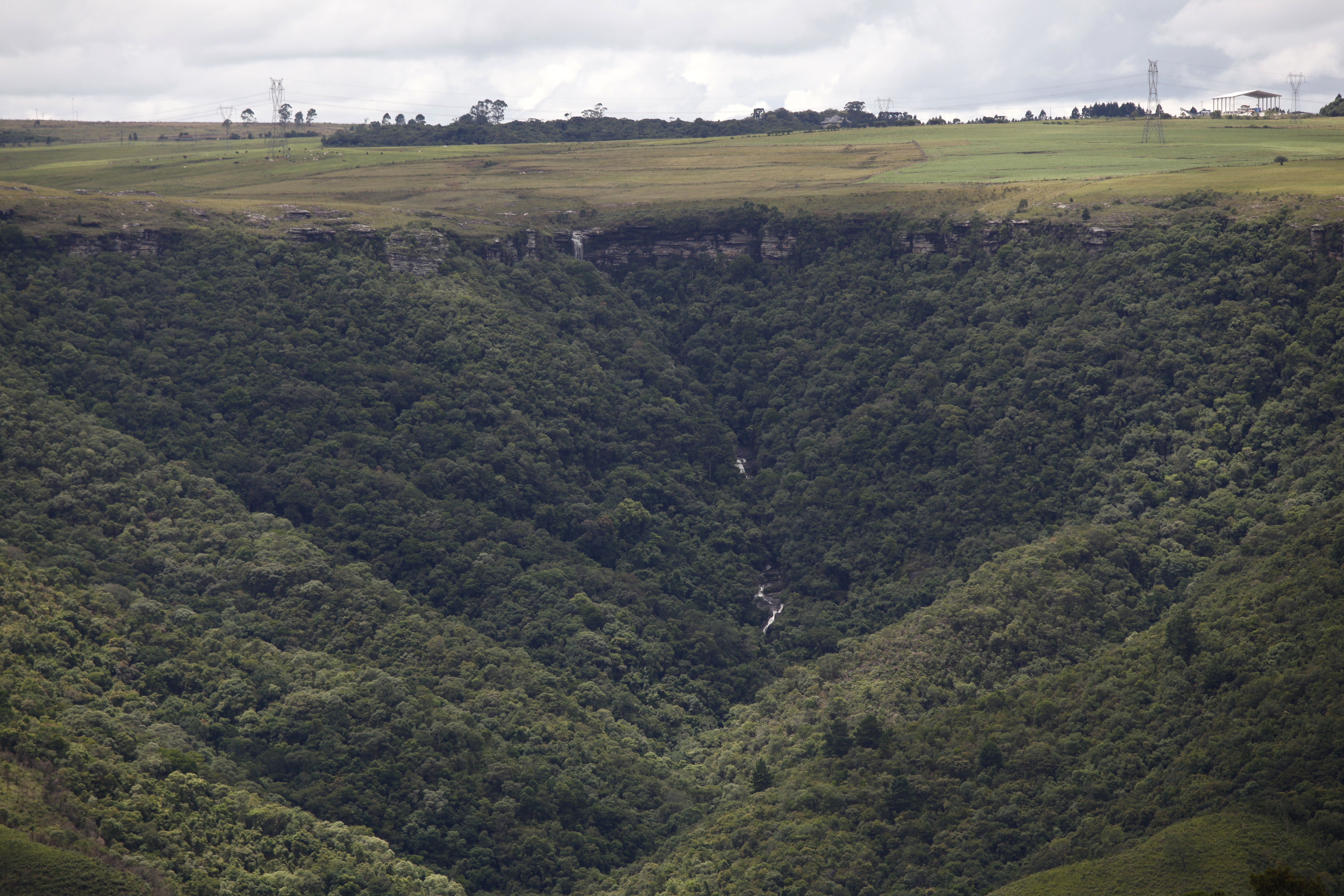  | Jonathan Campos/Gazeta do Povo